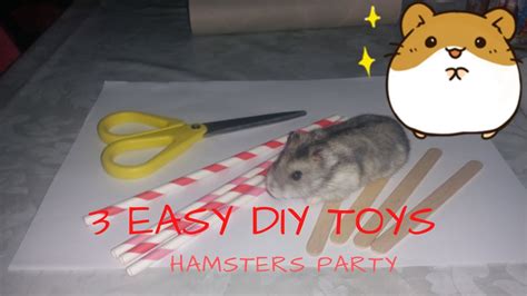 Three Easy Diy Hamsters Toys You Can Do At Home🐹 Hamsters Party Youtube