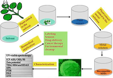 Green Synthesis Of Metal And Metal Oxide Nanoparticles From Plant Leaf