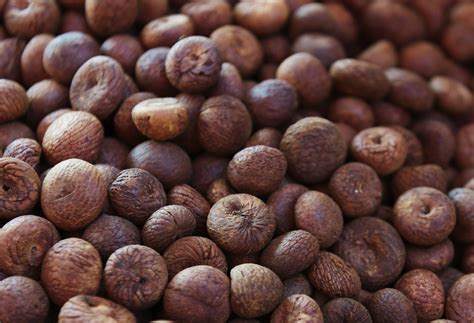 Nutmeg Oil Grenada | Organic and Essential Oils