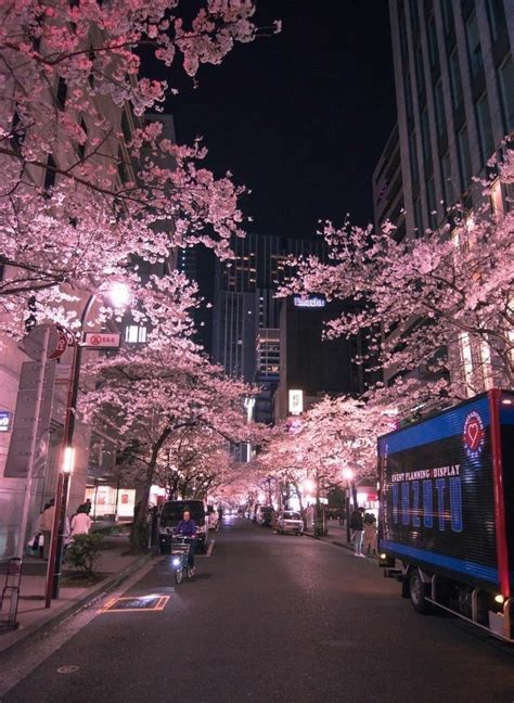 Cherry Blossoms In Tokyo Streetview In 2020 City Aesthetic Aesthetic