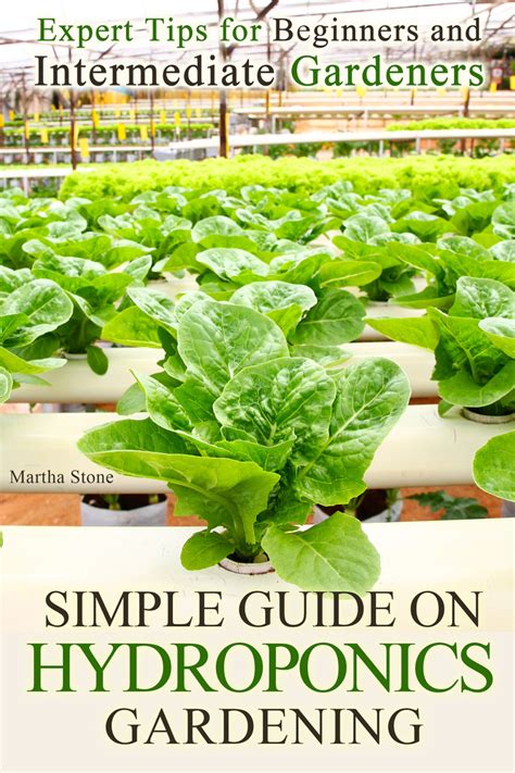 Simple Guide On Hydroponics Gardening Expert Tips For Beginners And