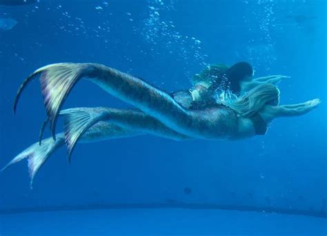 Mako Mermaids Brasil Auf Instagram „🐟🐚🌊 Mermaids Season 1