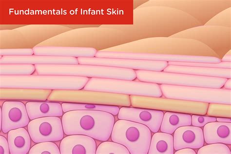 Fundamentals Of Infant Skin Huggies Healthcare Us