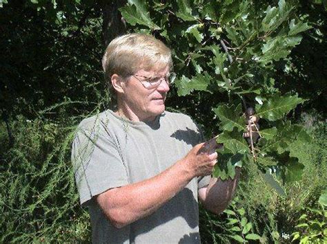 In swartz creek there are 5 other tree service. Oikos Tree Crops ships plants around the country | MLive.com