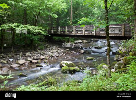 Bridge Over The Middle Prong Of The Little Pigeon River In The Great