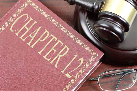 Chapter 12 Free Of Charge Creative Commons Law Book Image