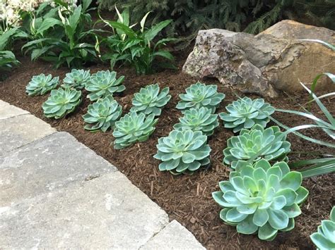 35 Amazing Beautiful Garden Landscaping Ideas With Succulents