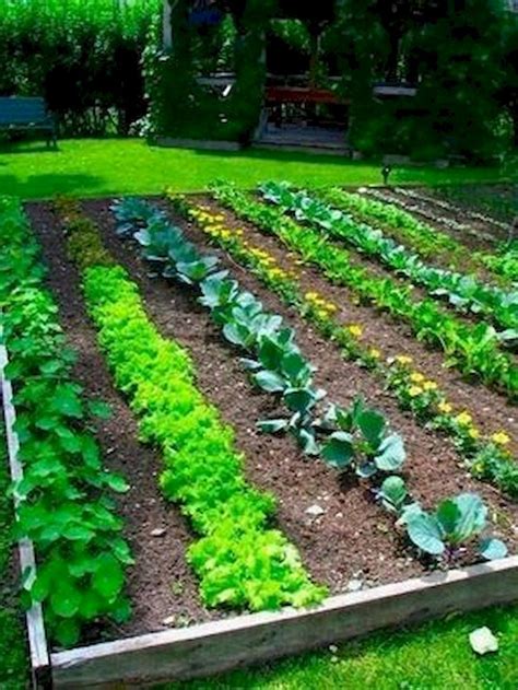 50 Most Productive Small Vegetable Garden Ideas For Small Space