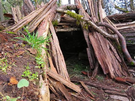 Building Survival Shelters And Underground Bunkers Survival Life