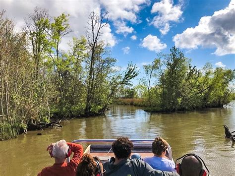 Bayou Swamp Tours The 1 Swamp Tour In New Orleans