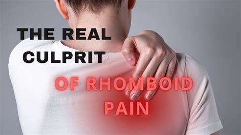 The Root Cause Of Rhomboid Pain Ed Paget