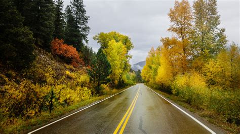 Download Autumn Highway Lone Yellow Marks Wallpaper 1920x1080 Full