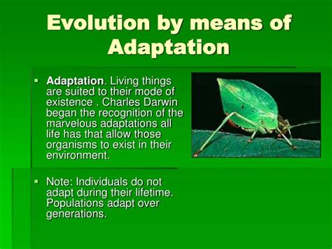 Ppt Characteristics Of Living Things Powerpoint Presentation Id2966444