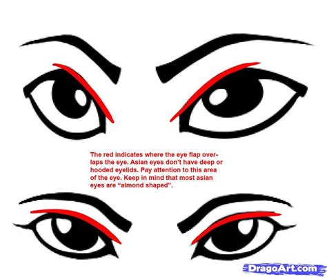 How To Make Asian Eyes Step By Step Eyes People Free Online Drawing