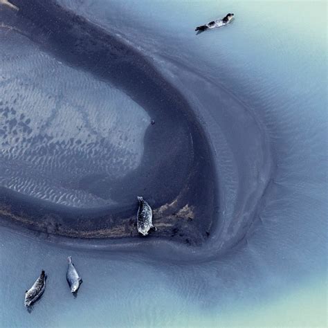 Abstract Iceland From Above By Zack Seckler Ignant