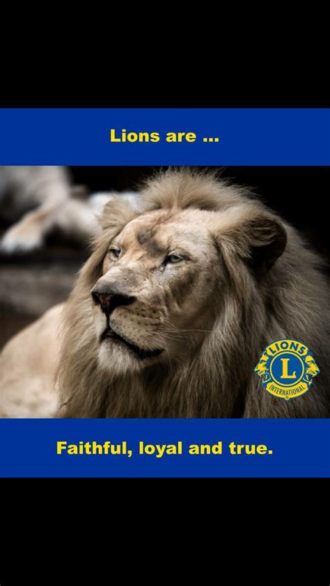 Lions Clubs International Lion Poster Wellington Serve Animals