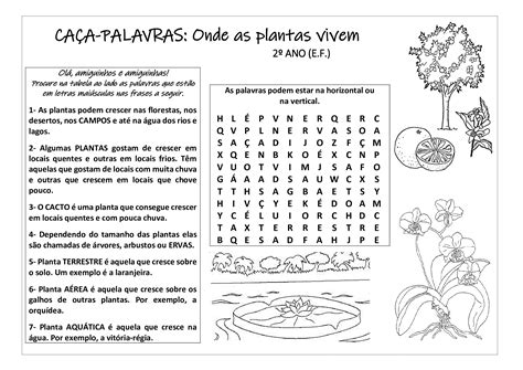 Caça Palavras Médio Plantas
