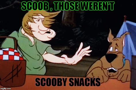Image Tagged In Shaggymemescooby Doofunny Imgflip Play Adult Scooby