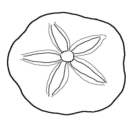 Sand Dollar Clip Art Clipart Best Coloring Pages Sand Dollar