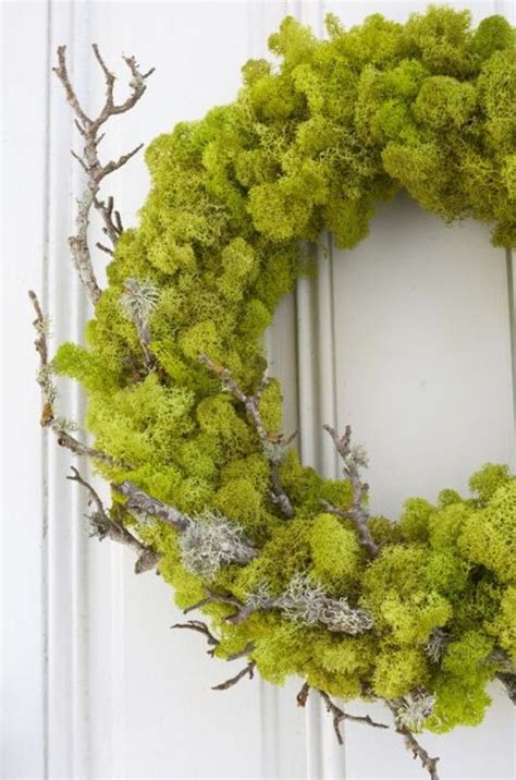 Pin By Gail Steven On Lichen And Moss Moss Wreath Diy Diy Spring