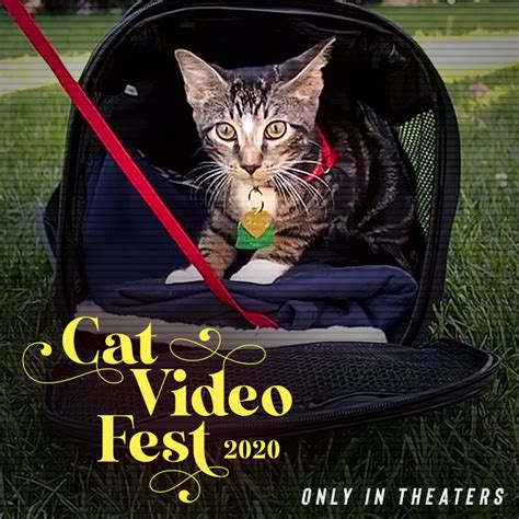 Vintage trailers, music videos, public service announcements and news. Feature-length cat video compilation makes 'a leap onto ...