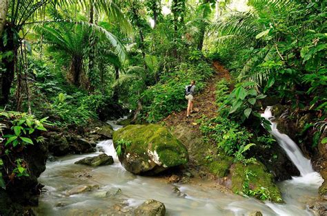 Parc National Du Darien Panama Guide Voyage