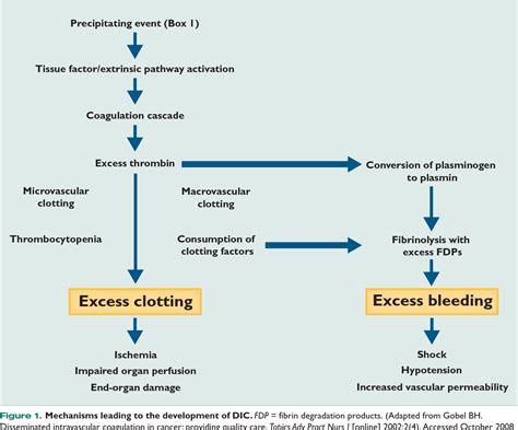 Disseminated Intravascular Coagulation Clotting Cascade