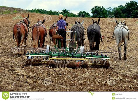 Lancaster County Pa Amish Youth Plowing Field Editorial Stock Image Image Of Field Team