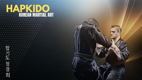 Hapkido Korean Martial Arts Wallpaper Resolution1920x1080 Id