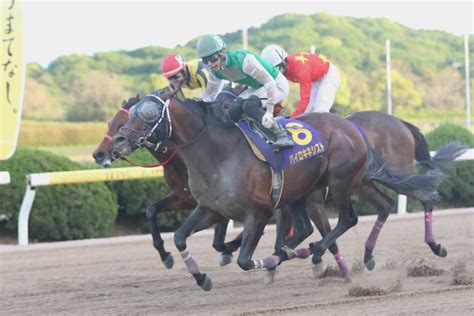 地方競馬全国協会nar公式 On Twitter 佐賀スプリングカップ 本日開催。佐賀競馬場で第6回佐賀スプリングカップ3歳上･右