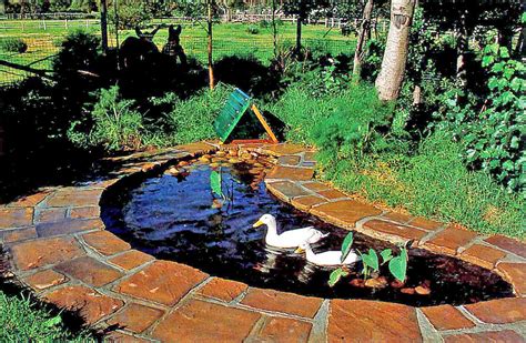 35 Backyard Pond Ideas For Ducks  Garden Design