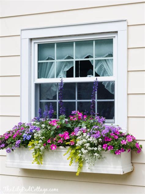 5 Tips For Gorgeous Window Boxes The Lilypad Cottage Window Box