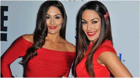 When Are The Bella Twins Estimated Due Dates