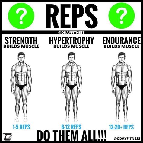 How Many Reps To Build Muscle So Which One Do You Do If You Want To