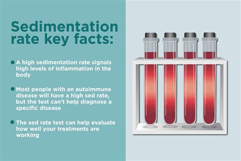 Esr What Is The Erythrocyte Sedimentation Rate Blood Test