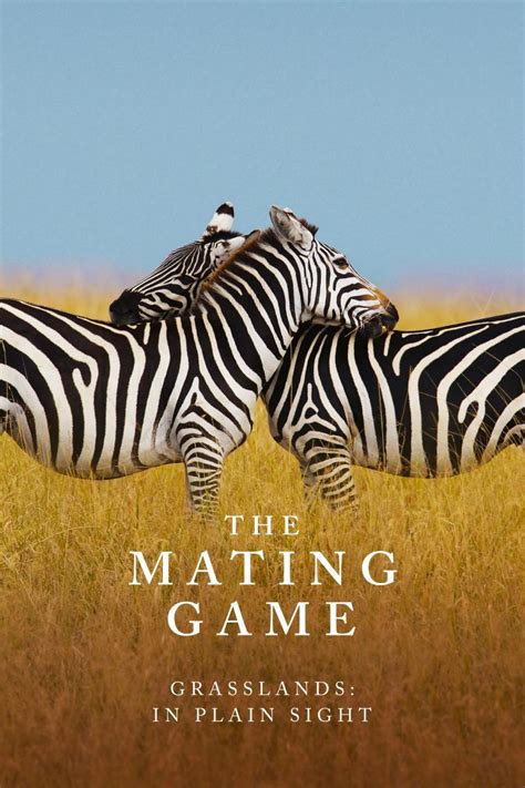the mating game tv miniseries 2021 filmaffinity