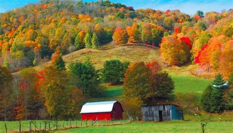Farm With Red Barn And Beautiful Fall Trees And Green Grass South