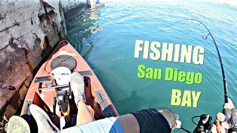 San Diego Fishing From A Kayak How To Catch Bass Youtube
