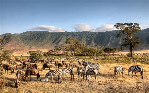 Crater Of Life Serengeti National Park