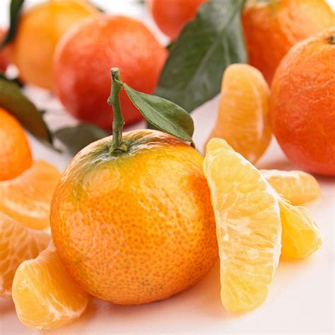 Discontinued Tangerine Fragrance Oil