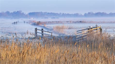 View Across Fields In The Norfolk Broads On A Cold And Misty Morning