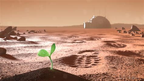 First Plant On Mars By Samuel Van Der Hoeven Human Mars