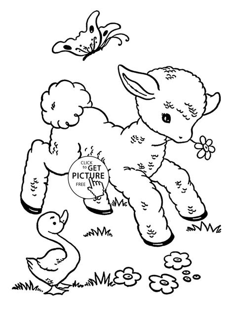 Cute Baby Sheep Animal Coloring Page For Kids Animal