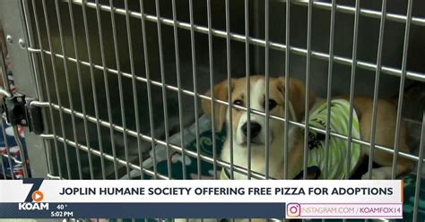 Joplin Humane Society Hosts Adoption Special To Celebrate Pi Day Pets