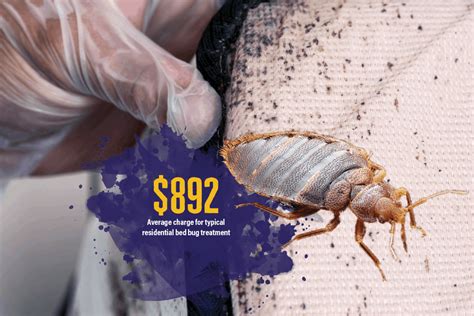 2020 State Of The Bed Bug Control Market Treatments Not One Size Fits All Pest Control