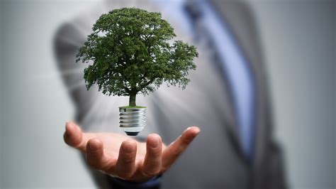 8 reasons the business world is looking for sustainability experts | Grist