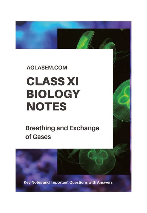 Class 11 Biology Notes For Breathing And Exchange Of Gases