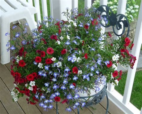 Maybe you would like to learn more about one of these? 302 best images about Outdoor Planters & Pots on Pinterest ...