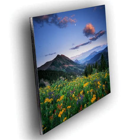 Washington Gulch Wildflowers Lucid Landscape Prints