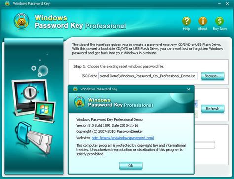 Windows Password Key Professional Latest Version Get Best Windows